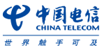 中国电信集团